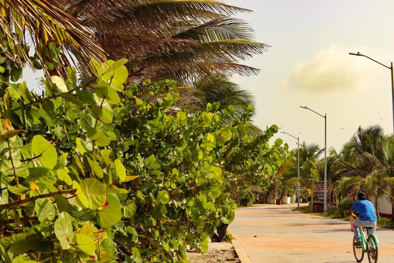 Jh Hotel Mahahual